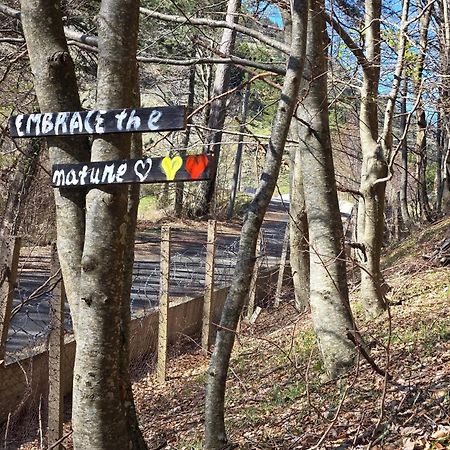 Shkreli Resort Qafeshtame Cudhi-Kamt Bagian luar foto