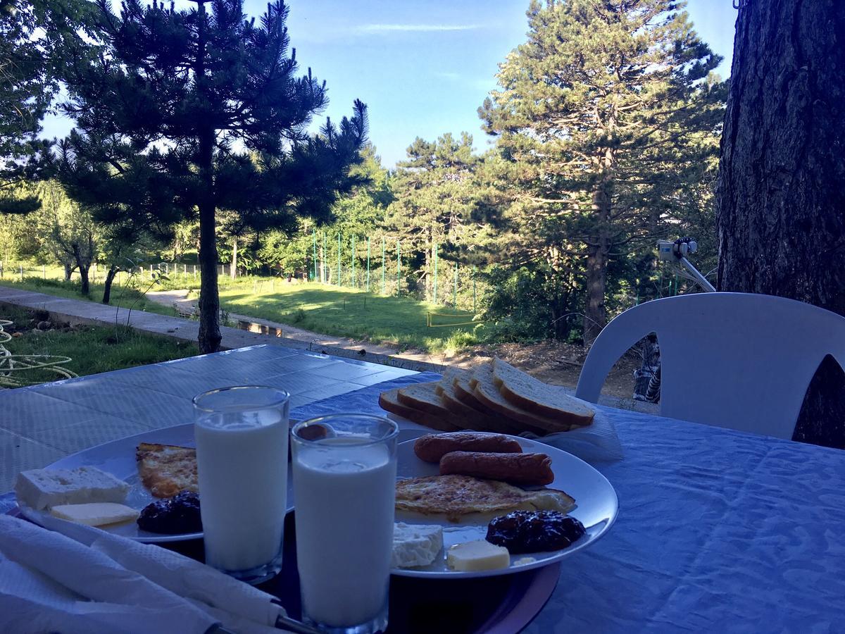Shkreli Resort Qafeshtame Cudhi-Kamt Bagian luar foto